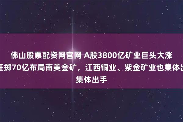 佛山股票配资网官网 A股3800亿矿业巨头大涨，狂掷70亿布局南美金矿，江西铜业、紫金矿业也集体出手